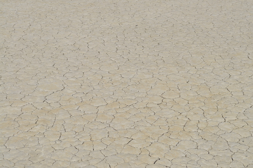 The confluence point, on a (mostly :-) dry lake bed