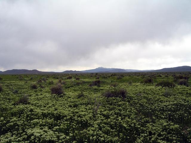 View south down Carico Lake Valley