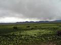 #3: View east towards the Simpson Park Mountains