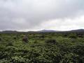 #4: View south down Carico Lake Valley