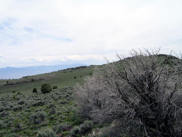 South across the end of Table Mountain