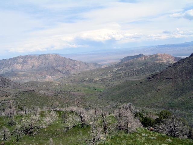 Halfway up the hill looking southeast