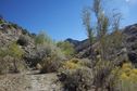 #3: Looking south down New York Canyon towards Cornish Peak and the confluence point, 3.5 miles away