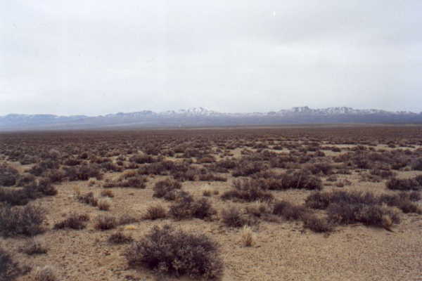 View from confluence looking east