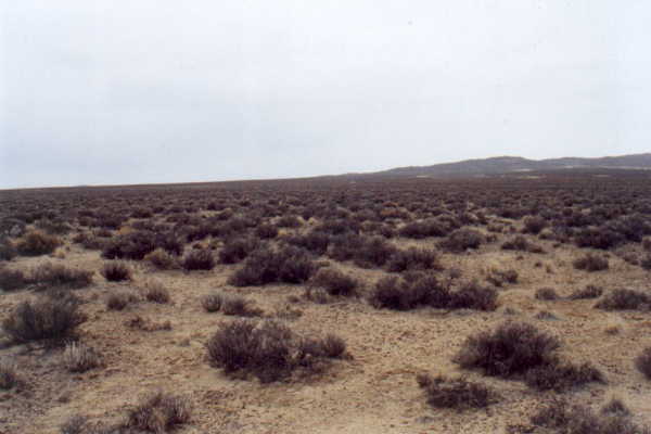 View from confluence looking west