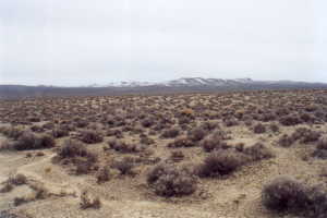 #1: View from confluence looking south