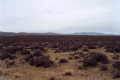 #2: View from confluence looking north