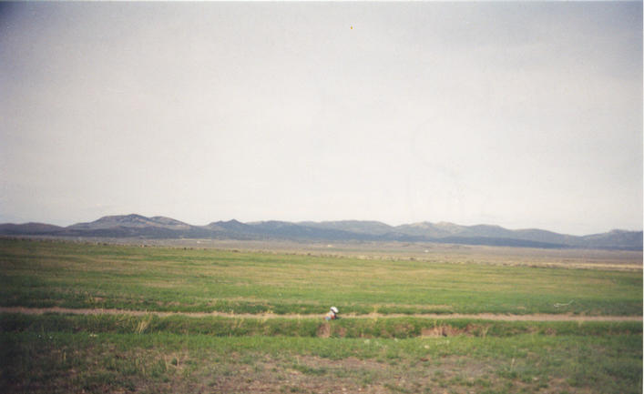 Looking east at Wood Hills.