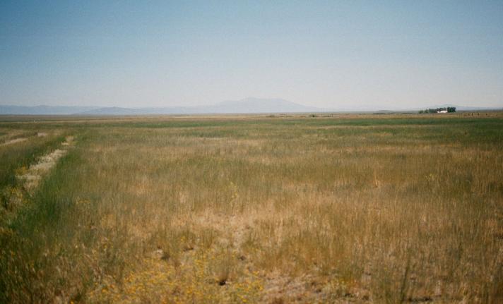 Looking south along the dirt track only 5 feet from the confluence.