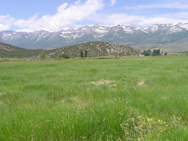 View West (the 11,000+ foot "Hole in the Mountain Peak")