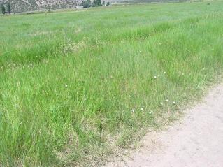 #1: The confluence point is just beside this dirt road