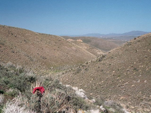 Looking northeast from the confluence