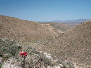 #1: Looking northeast from the confluence