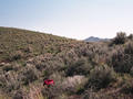 #2: View southwest from the confluence