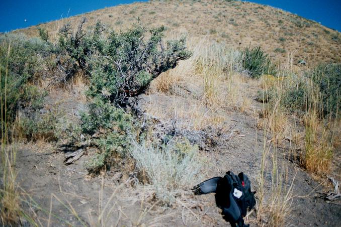 This sagebrush plant marks the spot.