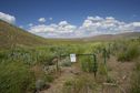 #7: A fenced-off "Habitat Restoration Project", about 1.2 miles south of the confluence point 