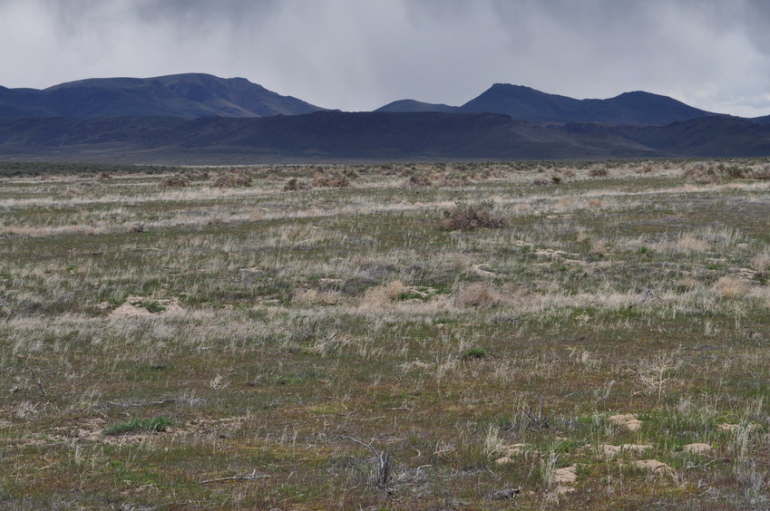 View East (towards Sixmile Hill and Roosters Comb)