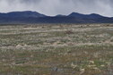 #3: View East (towards Sixmile Hill and Roosters Comb)