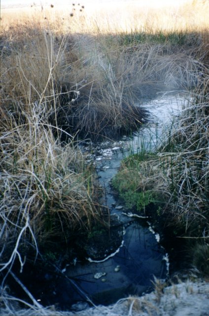 Casey Hot Springs