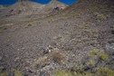 #5: The confluence point lies at the eastern edge of (the western arm of) the Black Rock Desert, at the base of a range of hills