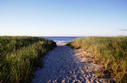 #3: Approaching the confluence through sand dunes.  The confluence is straight ahead 2/3 of a mile.