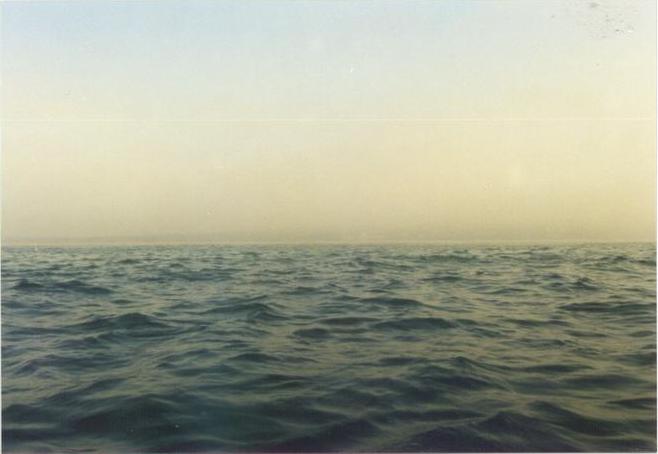 The view of land from the confluence, partially obscured by fog