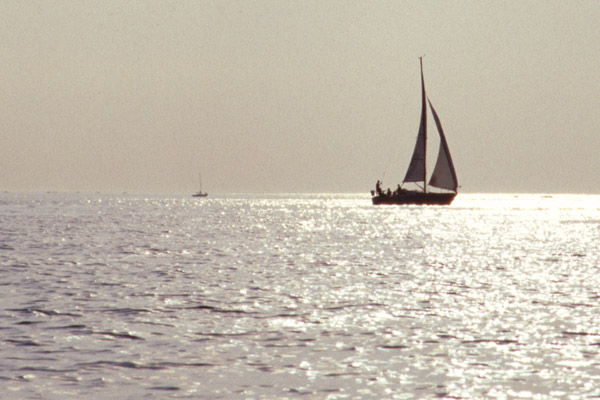 A nice view of a sailboat on the way back.