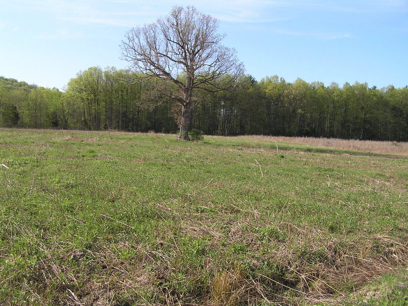 The site of 42 North 74 West in the front right of the photograph, in the shallow ditch, looking northwest.