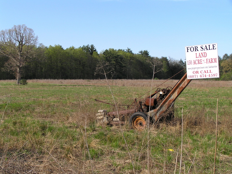 This confluence is for sale!  Looking north at the confluence site, about 50 meters south of the confluence.