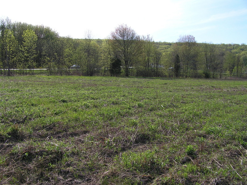 View to the west-northwest from the confluence.