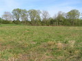 #6: View to the southeast from the confluence.