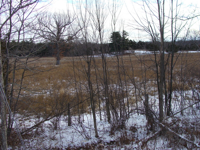 Looking southeast to 42N 74W from County Rd 31