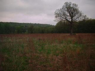 #1: Looking north from the confluence.