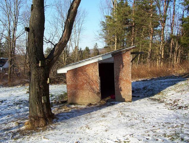 Doghouse in the owner's back yard