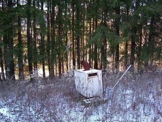 #1: The confluence is in the spruce trees