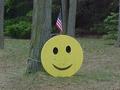 #2: Confluence Smiley Face