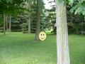 #8: Smiley Face