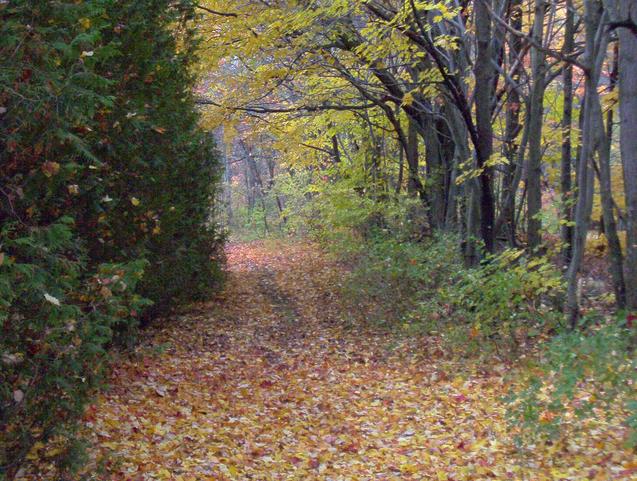 Looking north down the path along the east side of the lake.