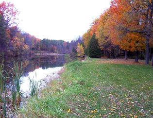 #1: The confluence lies  20 feet from the right bank in this lake.