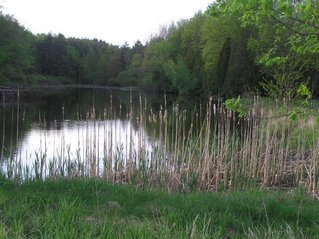 #1: Confluence viewed from Crane Road