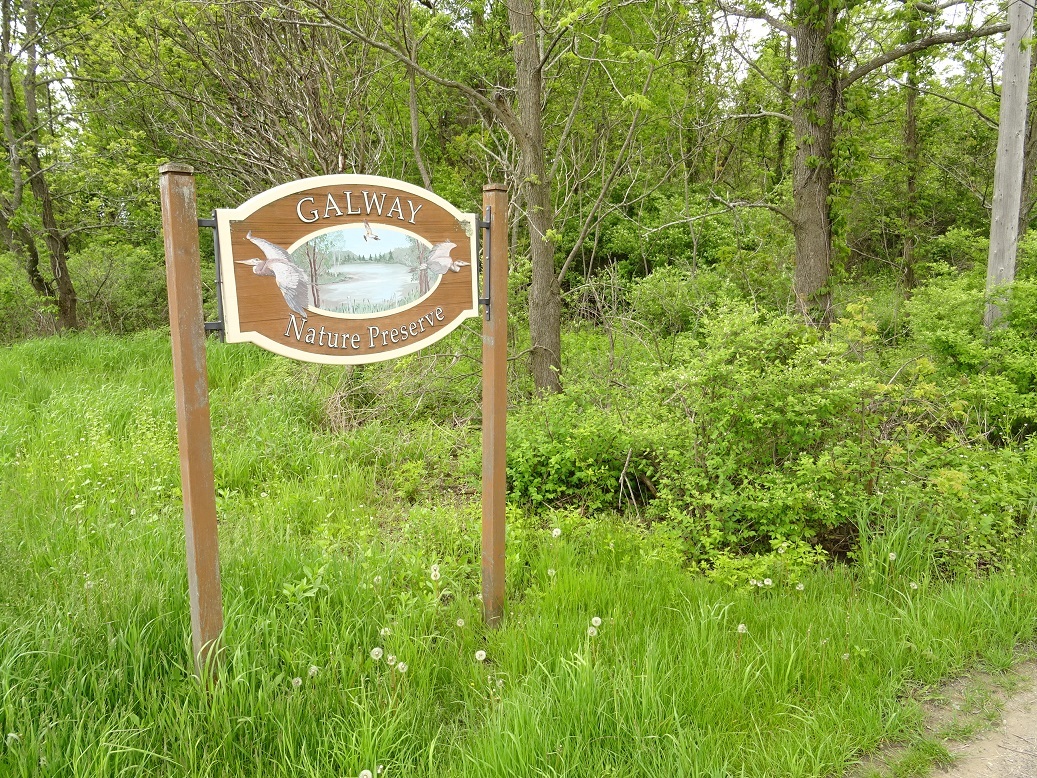 Galway Nature preserve trail head