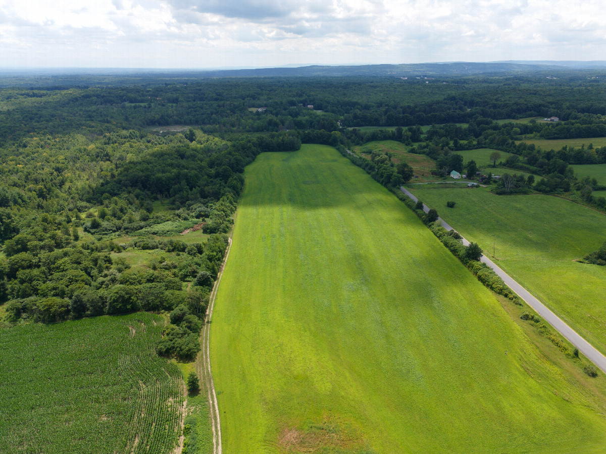 View South, from 120m above the point