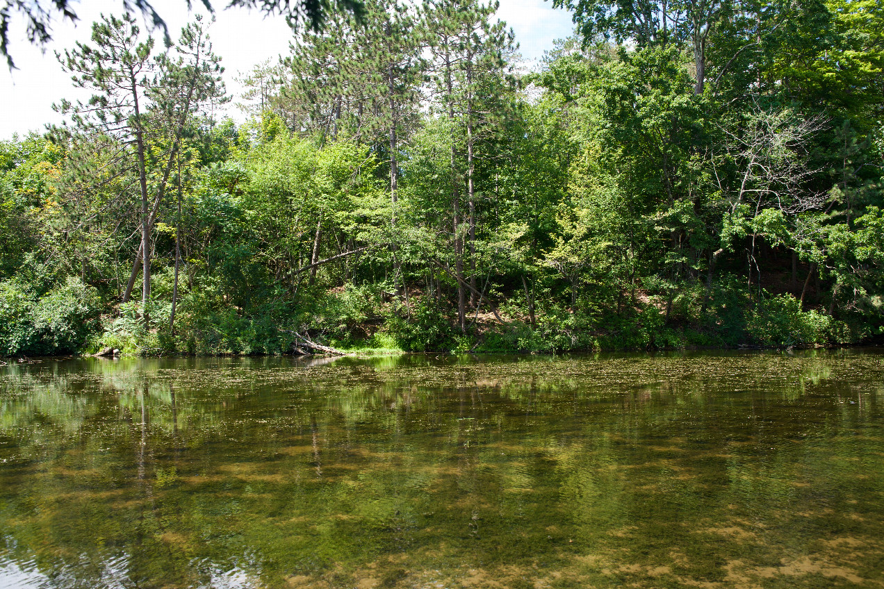 The confluence point lies on the edge of a pond.  (This is also a view to the West, across the pond.)