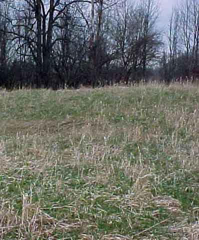 Standing at the Confluence -- Looking east