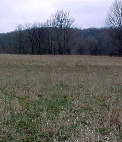 Standing at the Confluence -- Looking west