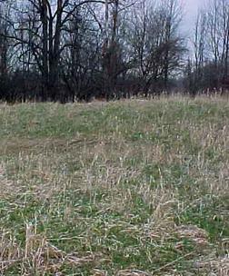 #1: Standing at the Confluence -- Looking east