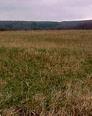 #2: Standing at the Confluence -- Looking south