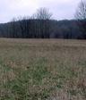 #3: Standing at the Confluence -- Looking west