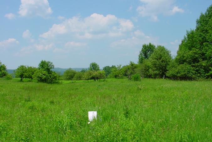 Looking South at the confluence