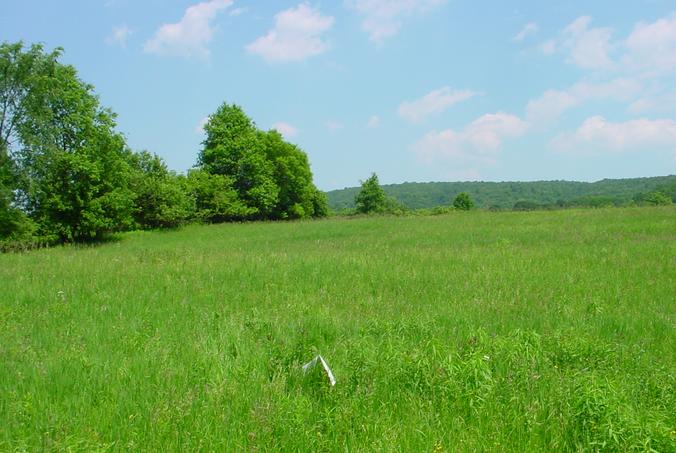 Looking West at the confluence